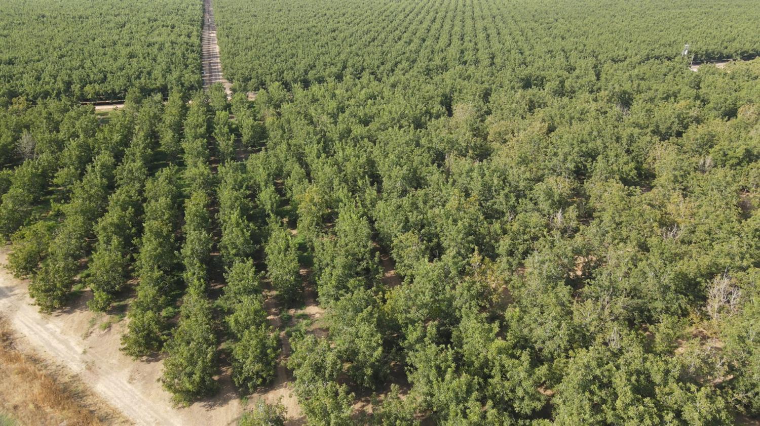 2507 Escalon-Bellota Road Farmington, CA 95230 - Photo 17 of 30 a view of a green field