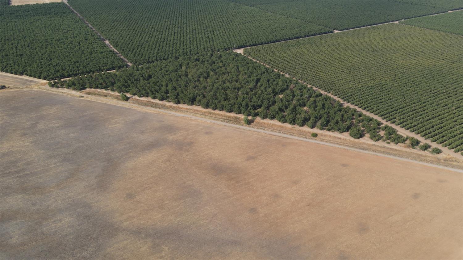 2507 Escalon-Bellota Road Farmington, CA 95230 - Photo 18 of 30 a view of a terrace