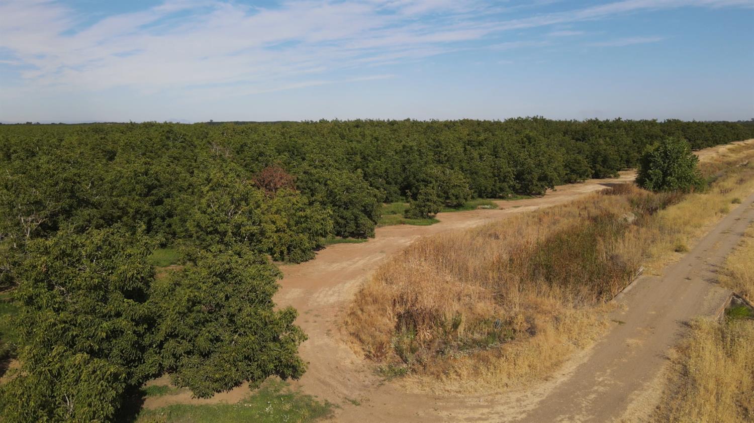 2507 Escalon-Bellota Road Farmington, CA 95230 - Photo 21 of 30 a view of mountain with lake view