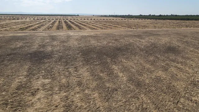 a view of an ocean beach