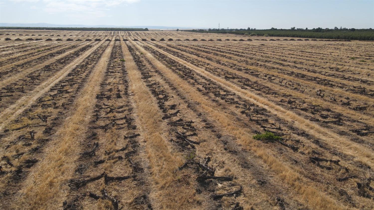 2507 Escalon-Bellota Road Farmington, CA 95230 - Photo 24 of 30 a view of a large body of water with a building