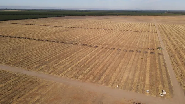 a view of wooden floor