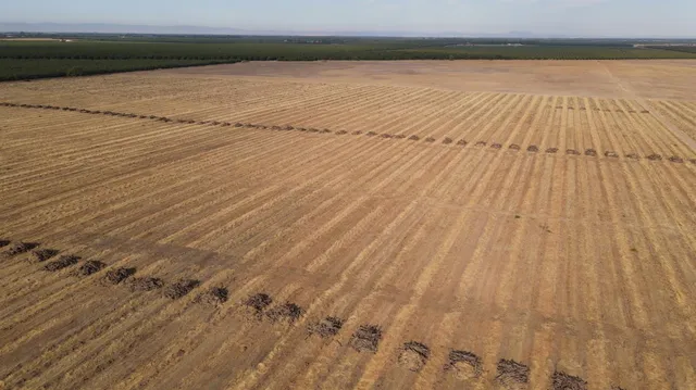a view of an ocean from a balcony