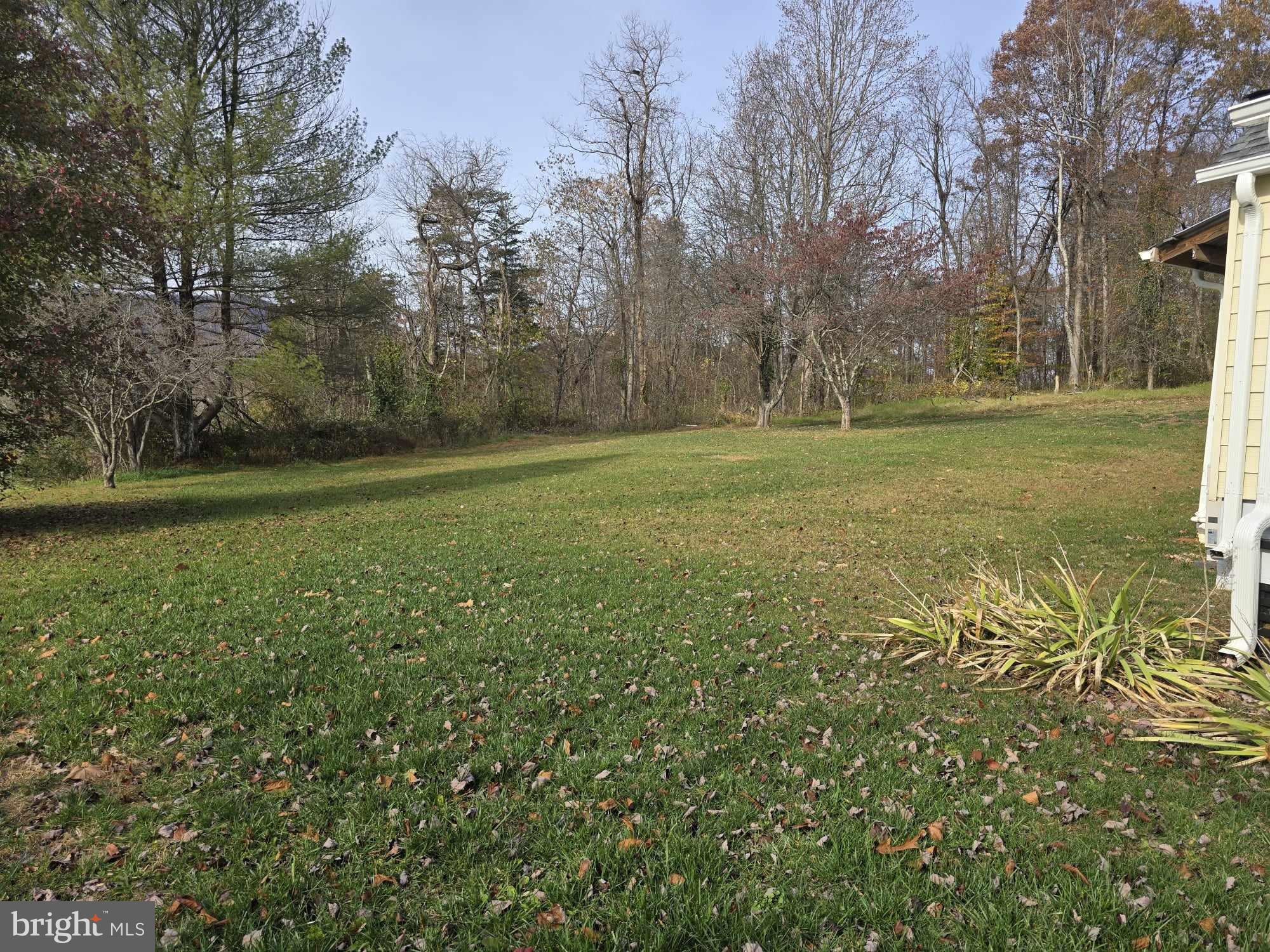 1358 Graves Mill Road Madison, VA 22727 - Photo 20 of 22