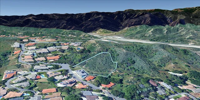 a view of a lush green field with lots of plants