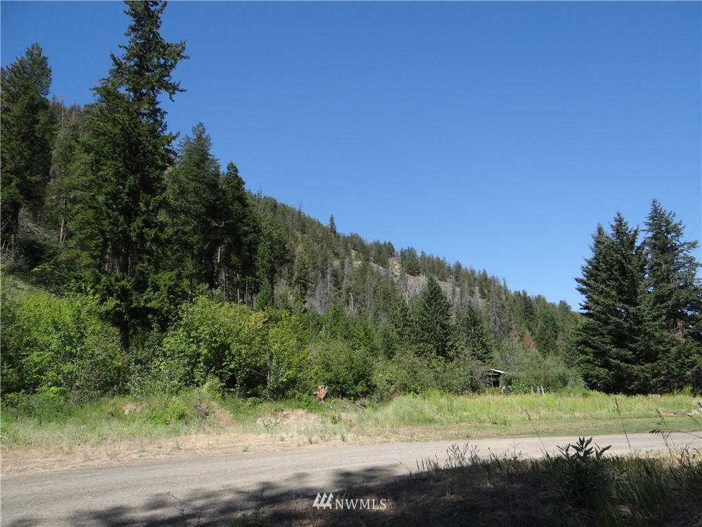77 Twisp River Road Twisp, WA 98856 - Photo 16 of 18 Gallery Image 16