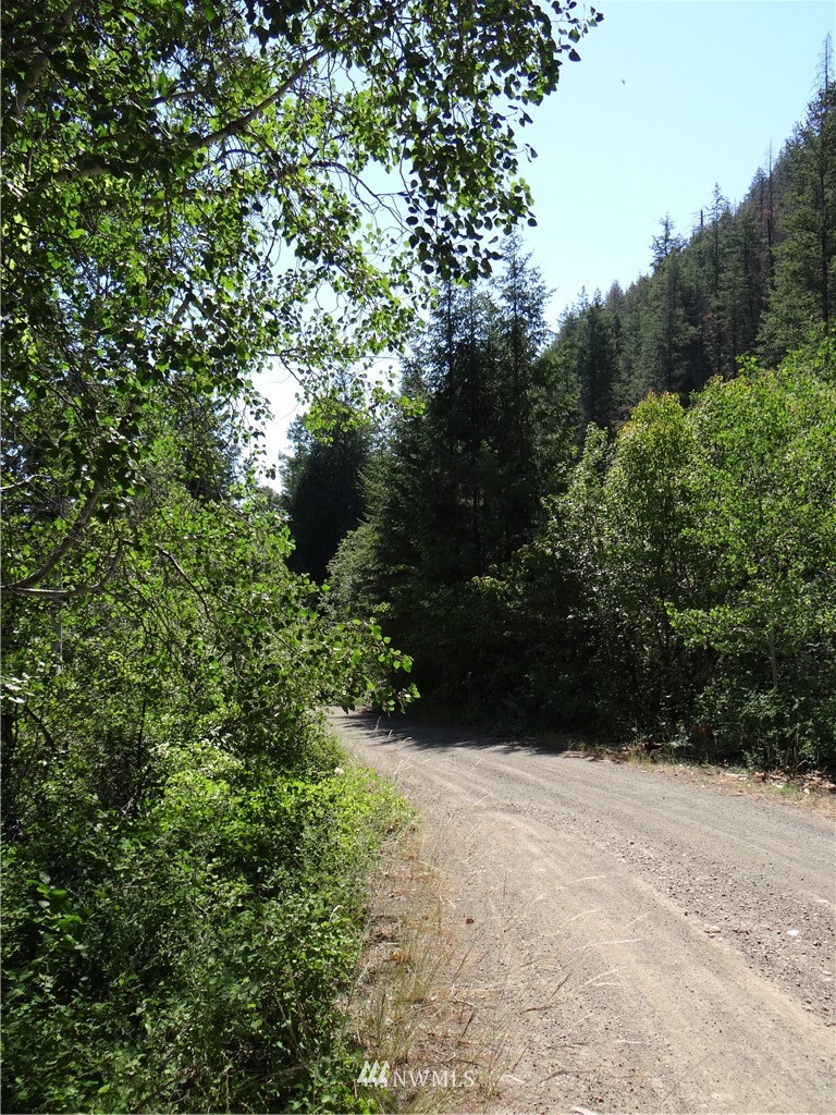 77 Twisp River Road Twisp, WA 98856 - Photo 17 of 18 Gallery Image 17