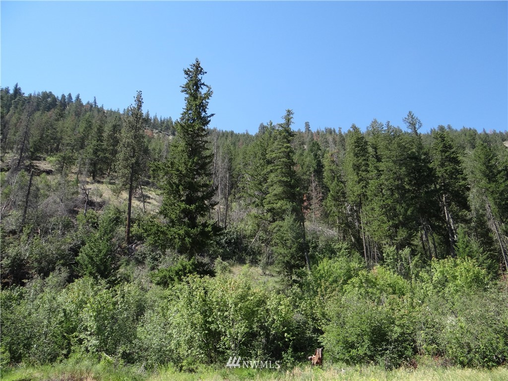 77 Twisp River Road Twisp, WA 98856 - Photo 18 of 18 Gallery Image 18