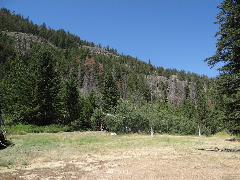 77 Twisp River Road Twisp, WA 98856 - Photo 7 of 18 Gallery Image 7