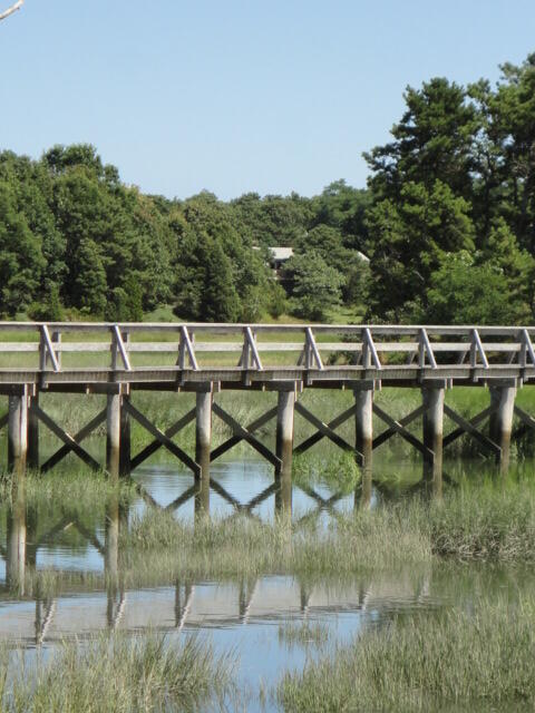 50 Designers Road Wellfleet, MA 02667 - Photo 57 of 59 DSC00807