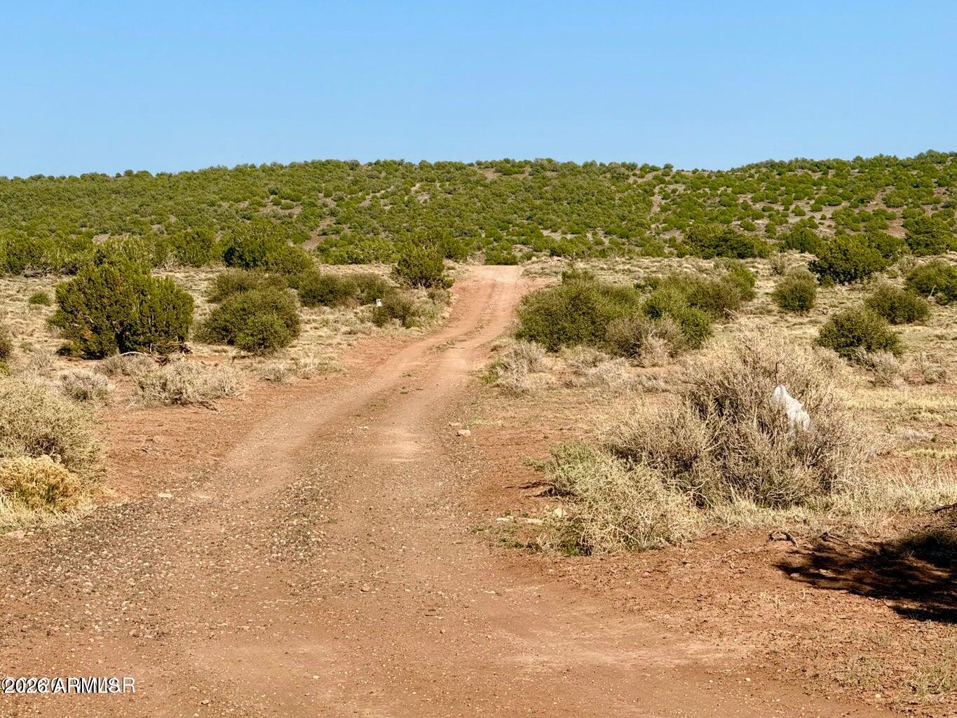 85 Co Road Concho, AZ 85924 - Photo 11 of 24 a view of a lake with mountain