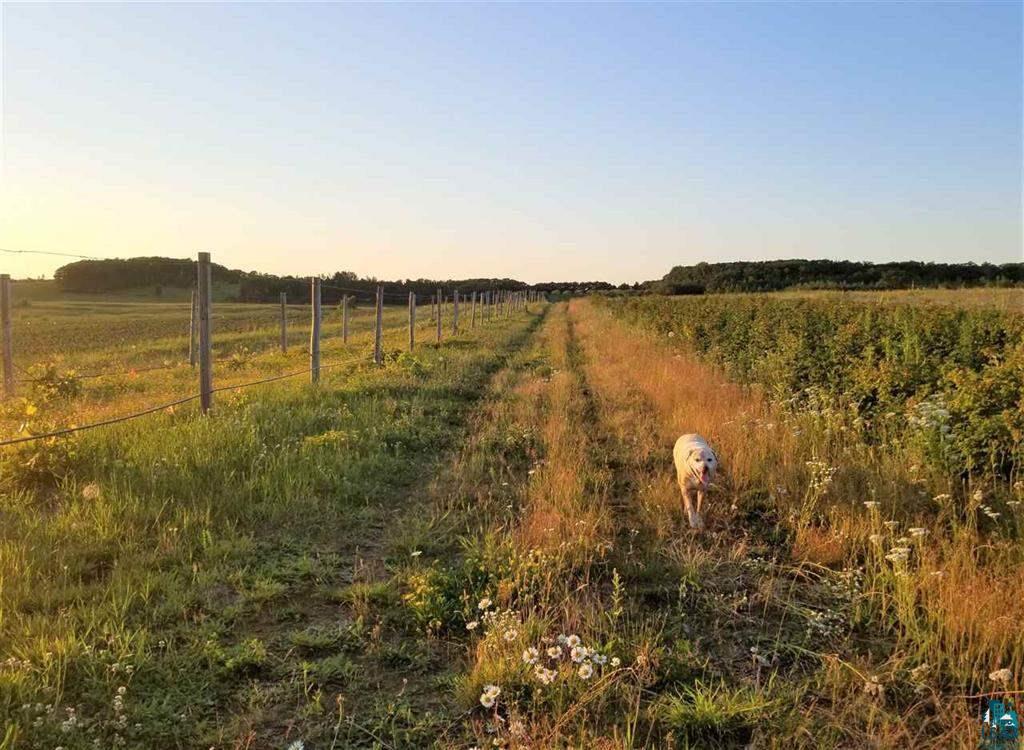 87380 Betzold Road Bayfield, WI 54814 - Photo 15 of 50 Gallery Image 15