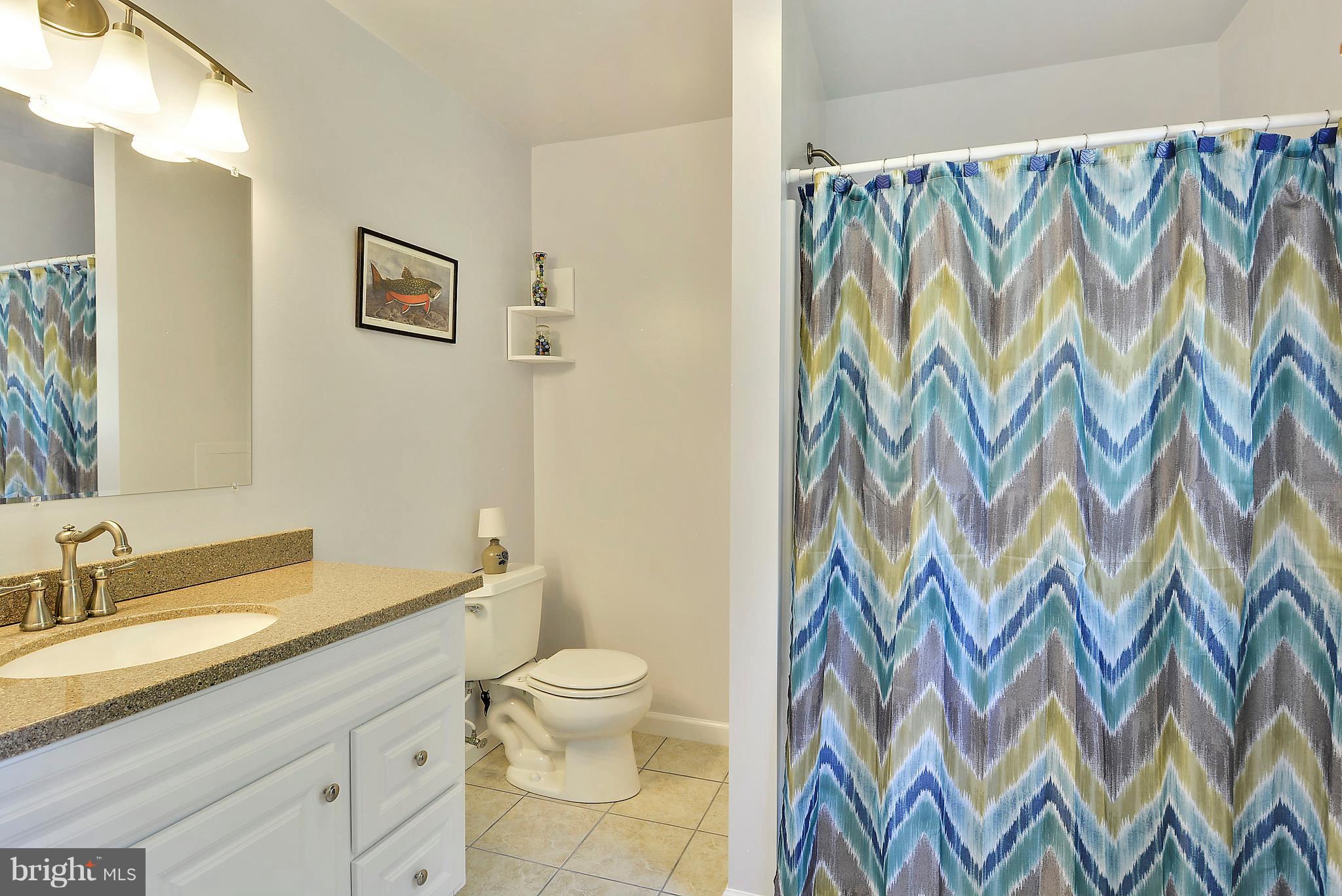 311 Bentons Pleasure Road Chester, MD 21619 - Photo 24 of 30 Bath (Master)