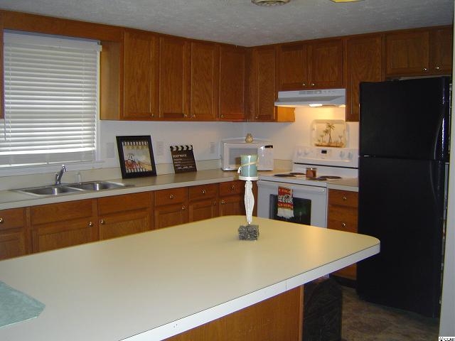 2180 Little Lamb Road Conway, SC 29527 - Photo 4 of 11 Gallery Image 4