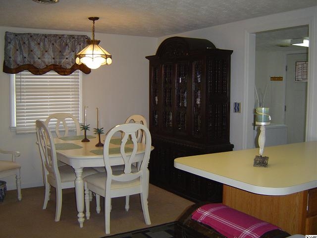 2180 Little Lamb Road Conway, SC 29527 - Photo 8 of 11 Gallery Image 8