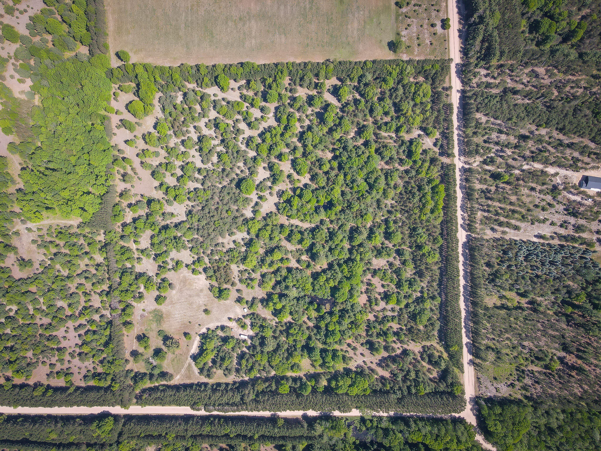 Parcel D Niemi Road Kaleva, MI 49645 - Photo 7 of 33 DJI_0262