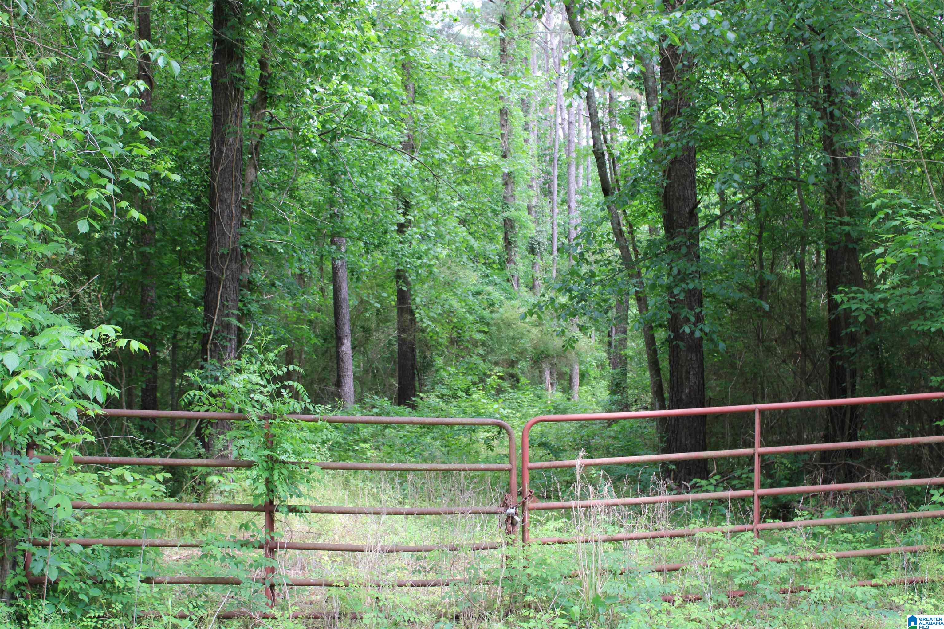 0 Wooten Road, Unit 6 ACRES Alabaster, AL 35007 - Photo 3 of 8