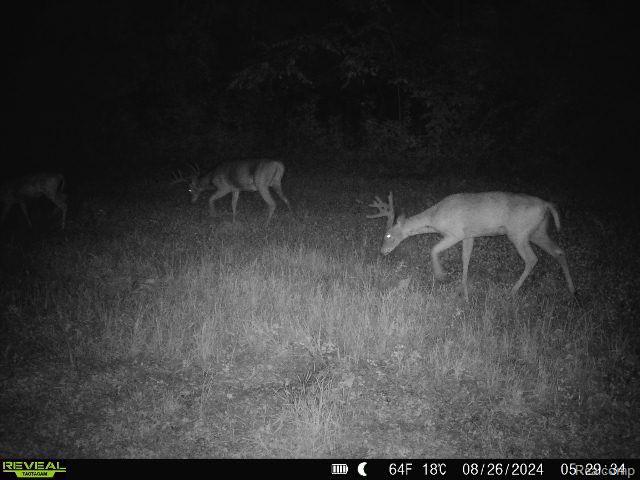 V/l Blake Road Jackson, MI 49202 - Photo 85 of 97 Gallery Image 85