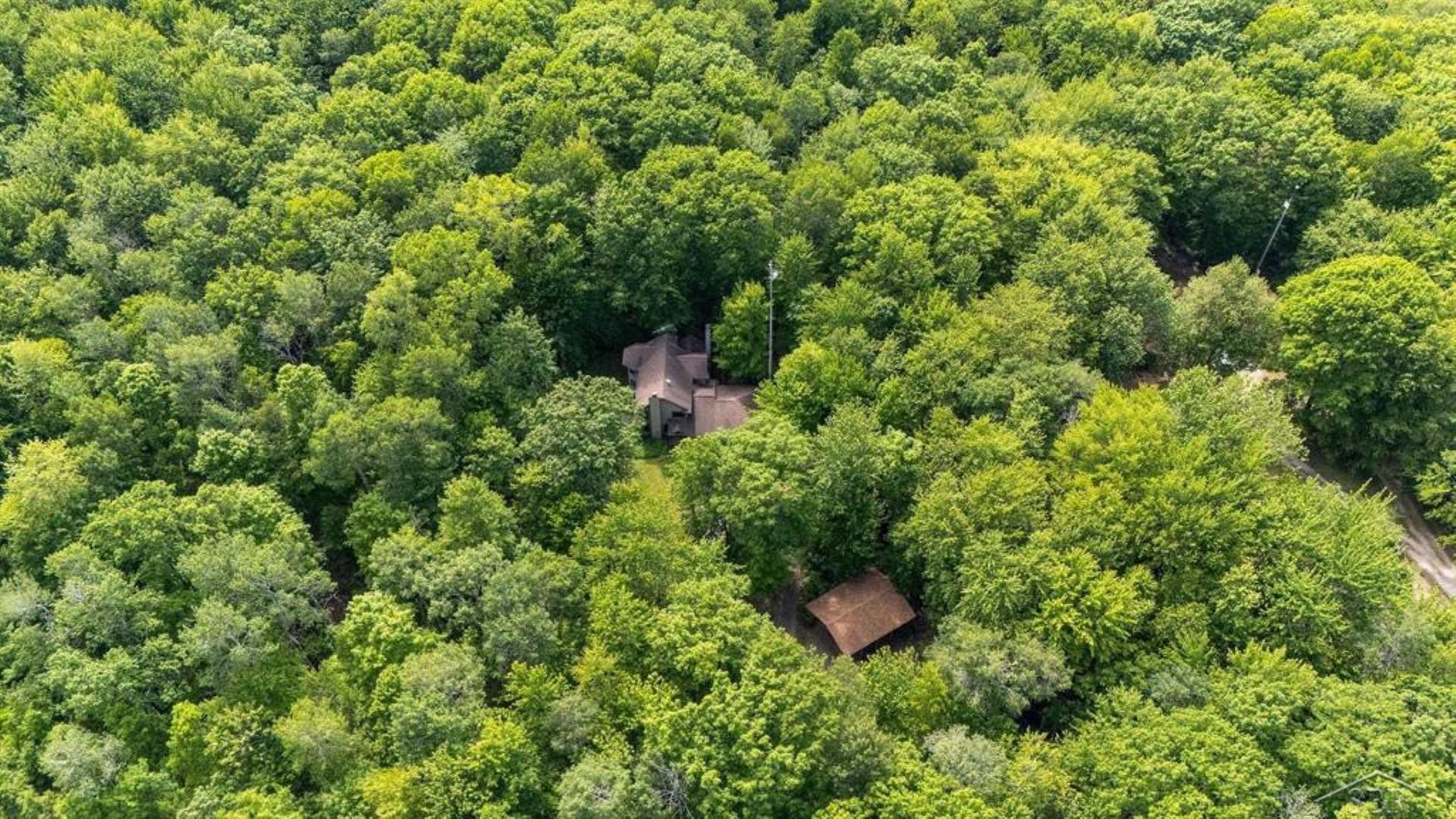 4455 North Ehlers Road Midland, MI 48642 - Photo 56 of 66