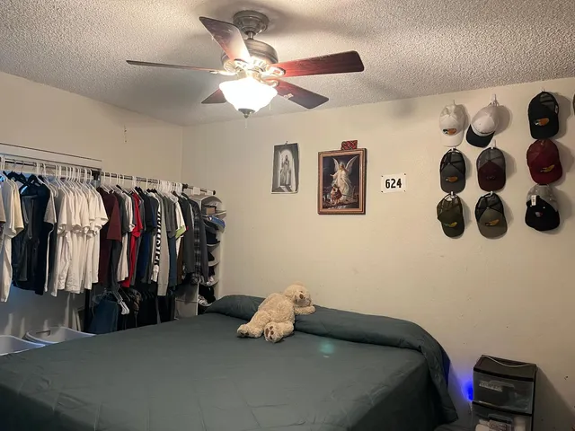 a bedroom with a bed and a walk in closet