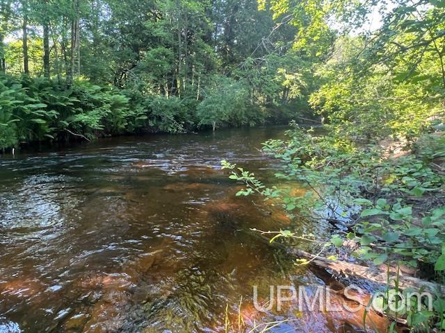 11.6 Acres Off Remington Road Marquette, MI 49855 - Photo 24 of 39