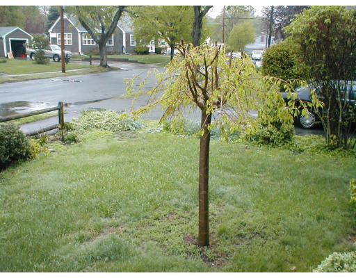 10 Pearl Street Extension Beverly, MA 01915 - Photo 6 of 6