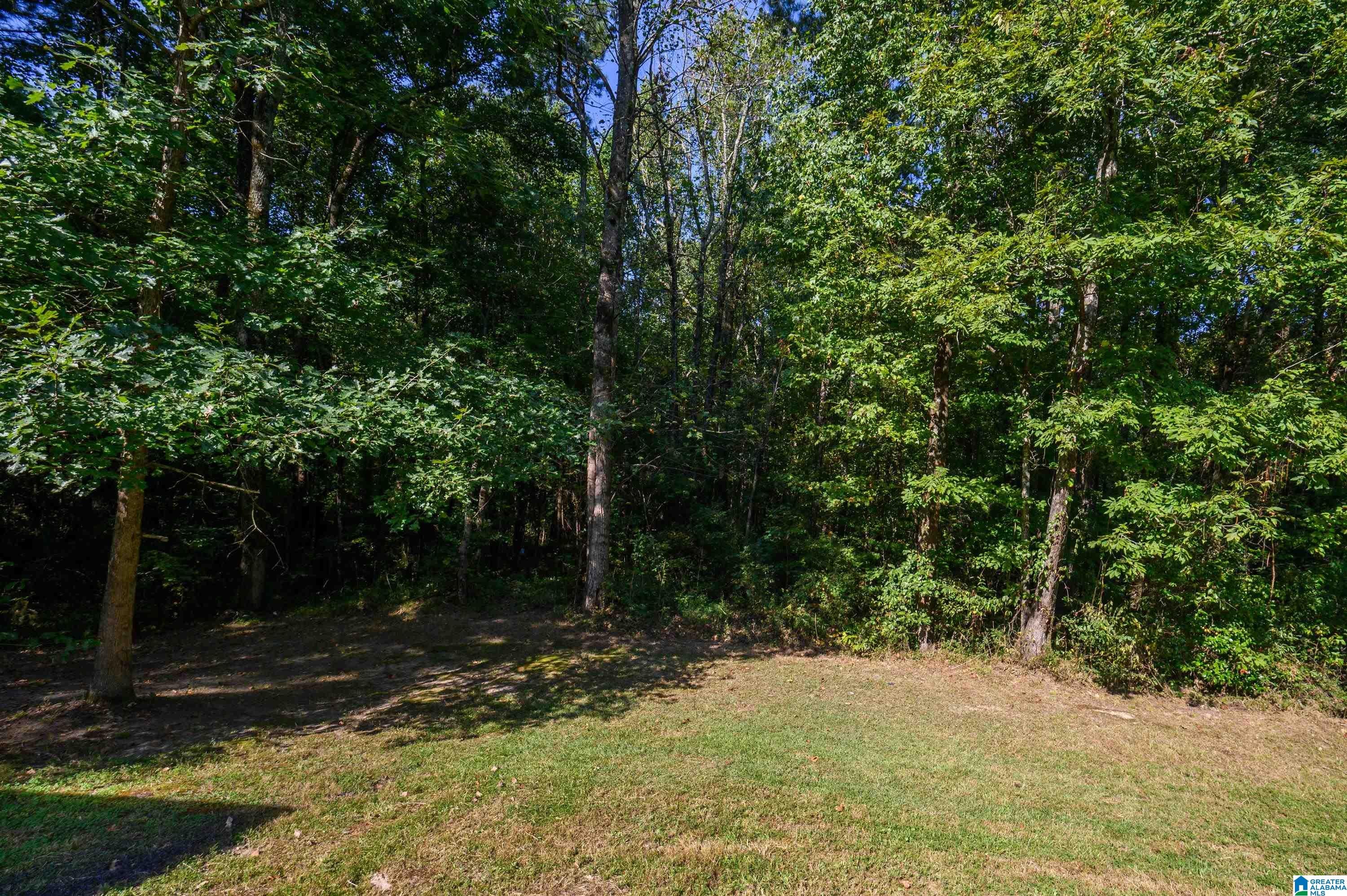 1835 Mt Zion Road Hayden, AL 35079 - Photo 48 of 54 Gallery Image 48