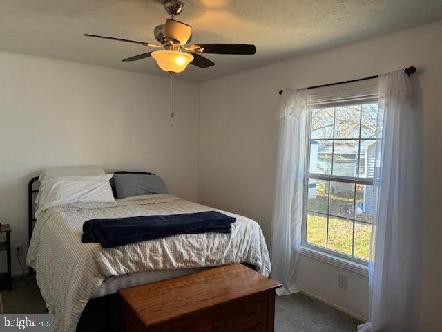 31706 Janice Road Lewes, DE 19958 - Photo 8 of 20 a bedroom with a bed and a window
