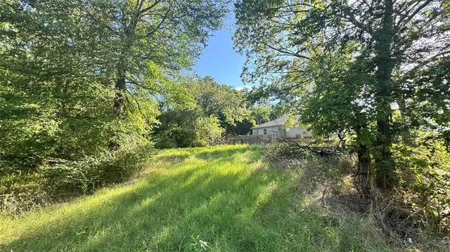 a view of a yard with plants and a trees