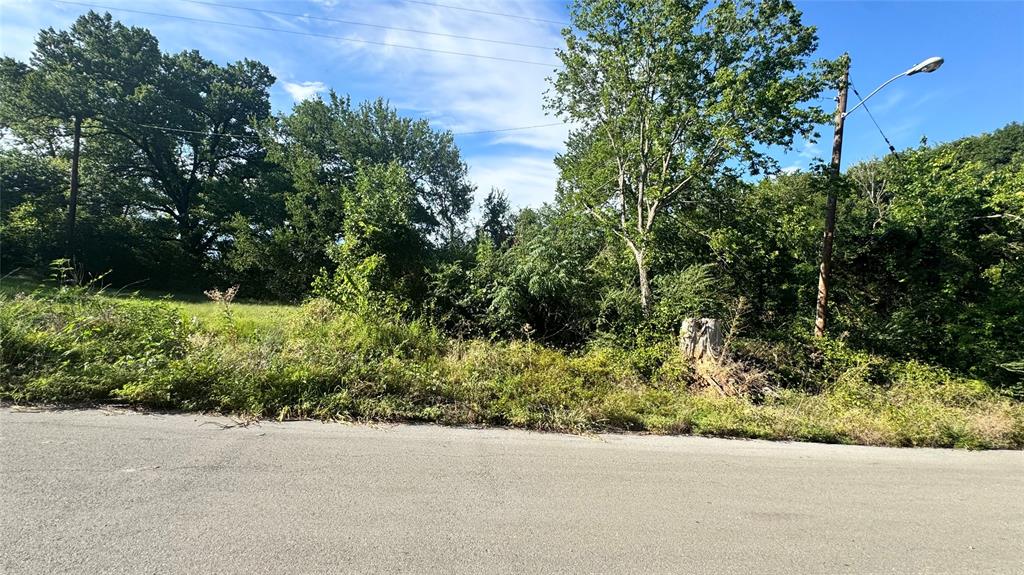 0 East Nelson Street Denison, TX 75021 - Photo 11 of 28 a view of a garden