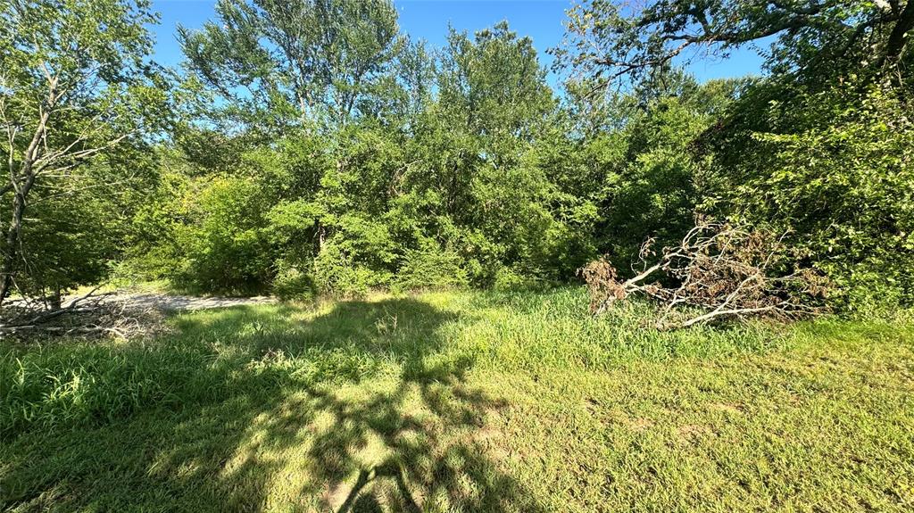 0 East Nelson Street Denison, TX 75021 - Photo 13 of 28 a view of a lush green forest