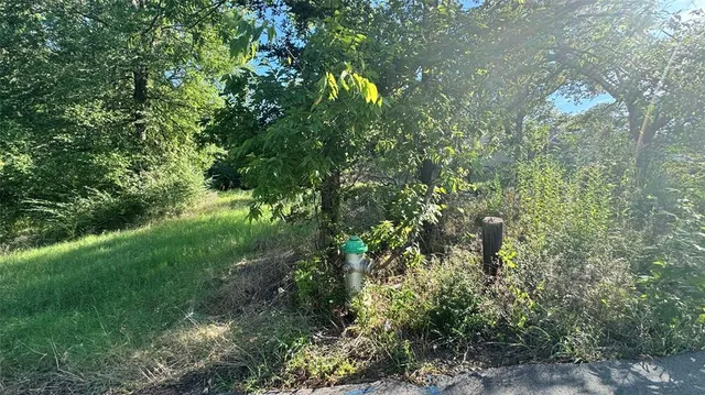 a view of a tree with a yard