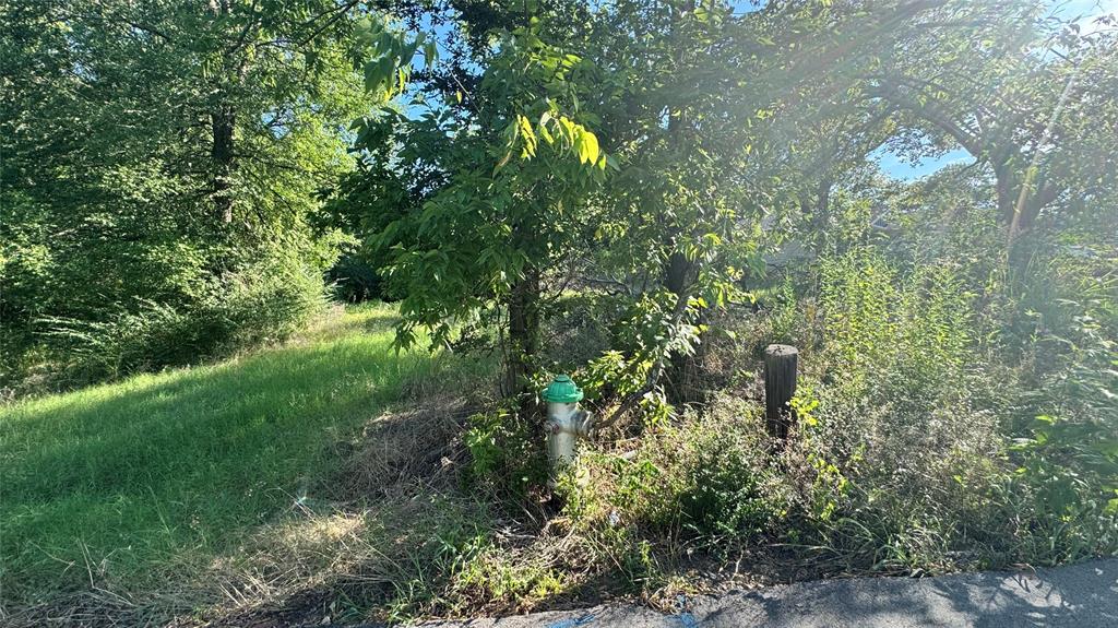 0 East Nelson Street Denison, TX 75021 - Photo 16 of 28 a view of a tree with a yard
