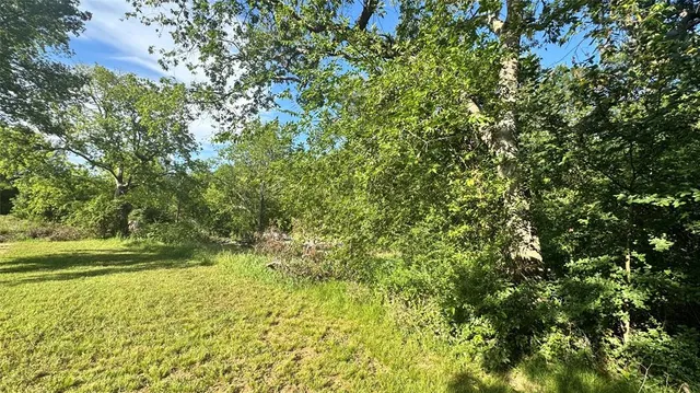 a view of a yard with an outdoor space
