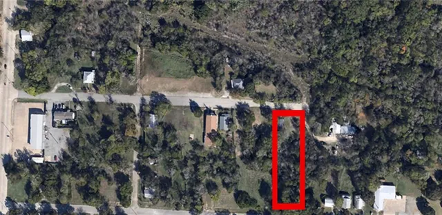 a close up of a tree