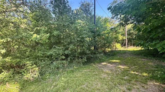 a view of a lush green forest