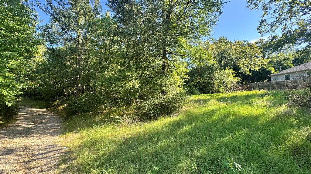 0 East Nelson Street Denison, TX 75021 - Photo 6 of 28 a view of a yard with plants and large trees
