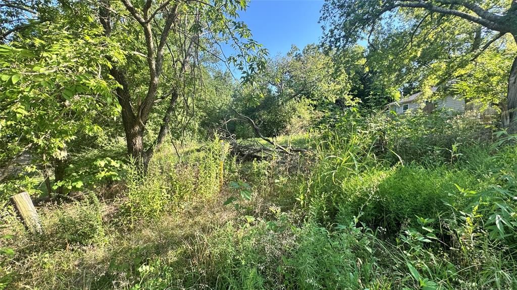 0 East Nelson Street Denison, TX 75021 - Photo 7 of 28 a view of a lush green forest