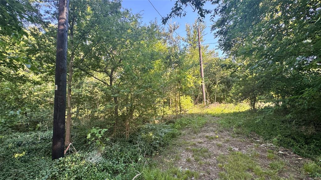 0 East Nelson Street Denison, TX 75021 - Photo 8 of 28 a flag is sitting in the middle of a forest