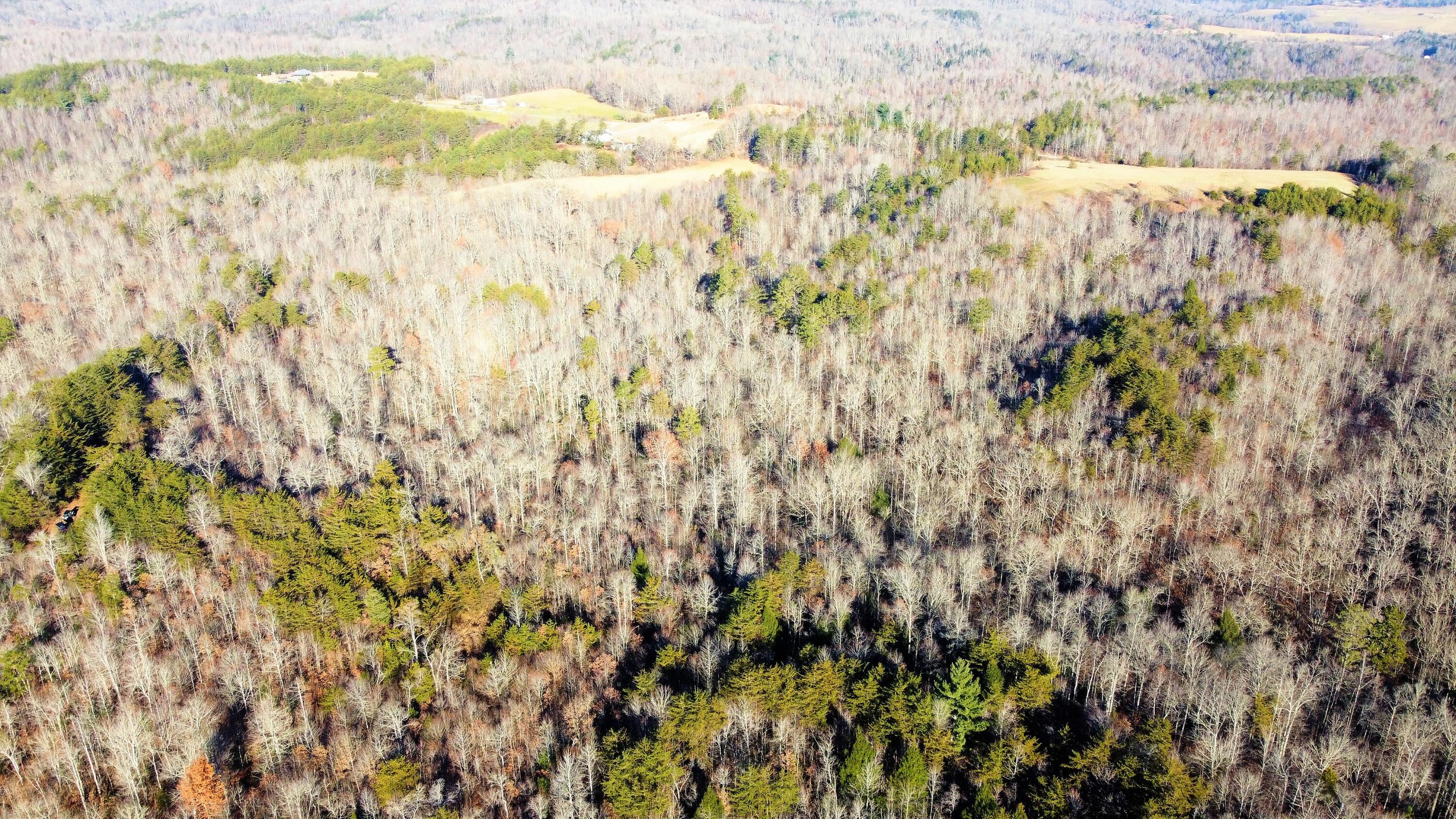 9999 Rocky Point School Road Williamsburg, KY 40769 - Photo 9 of 22 DJI_0369