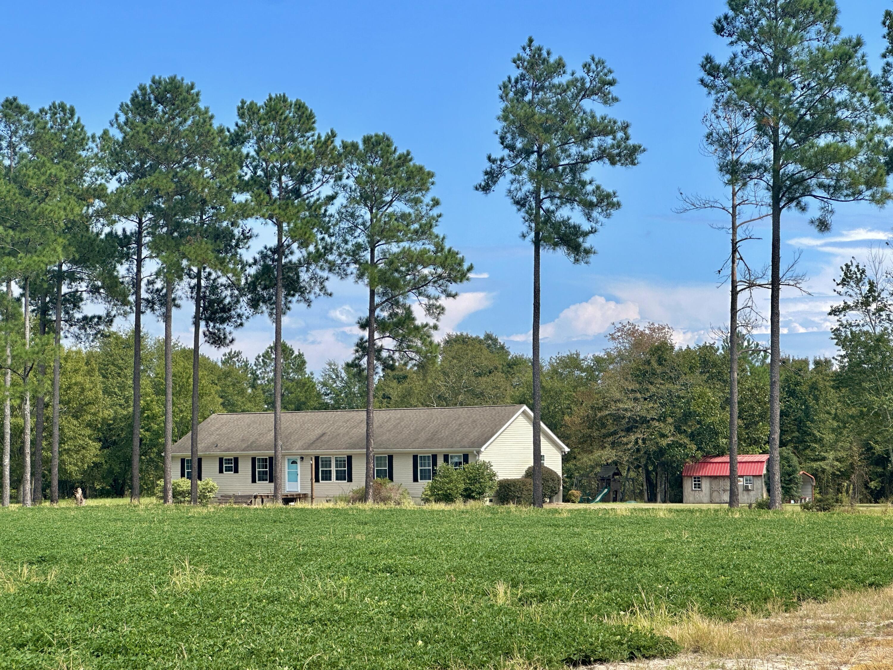 1124 Brigham Landing Road Girard, GA 30426 - Photo 1 of 52 IMG_5983