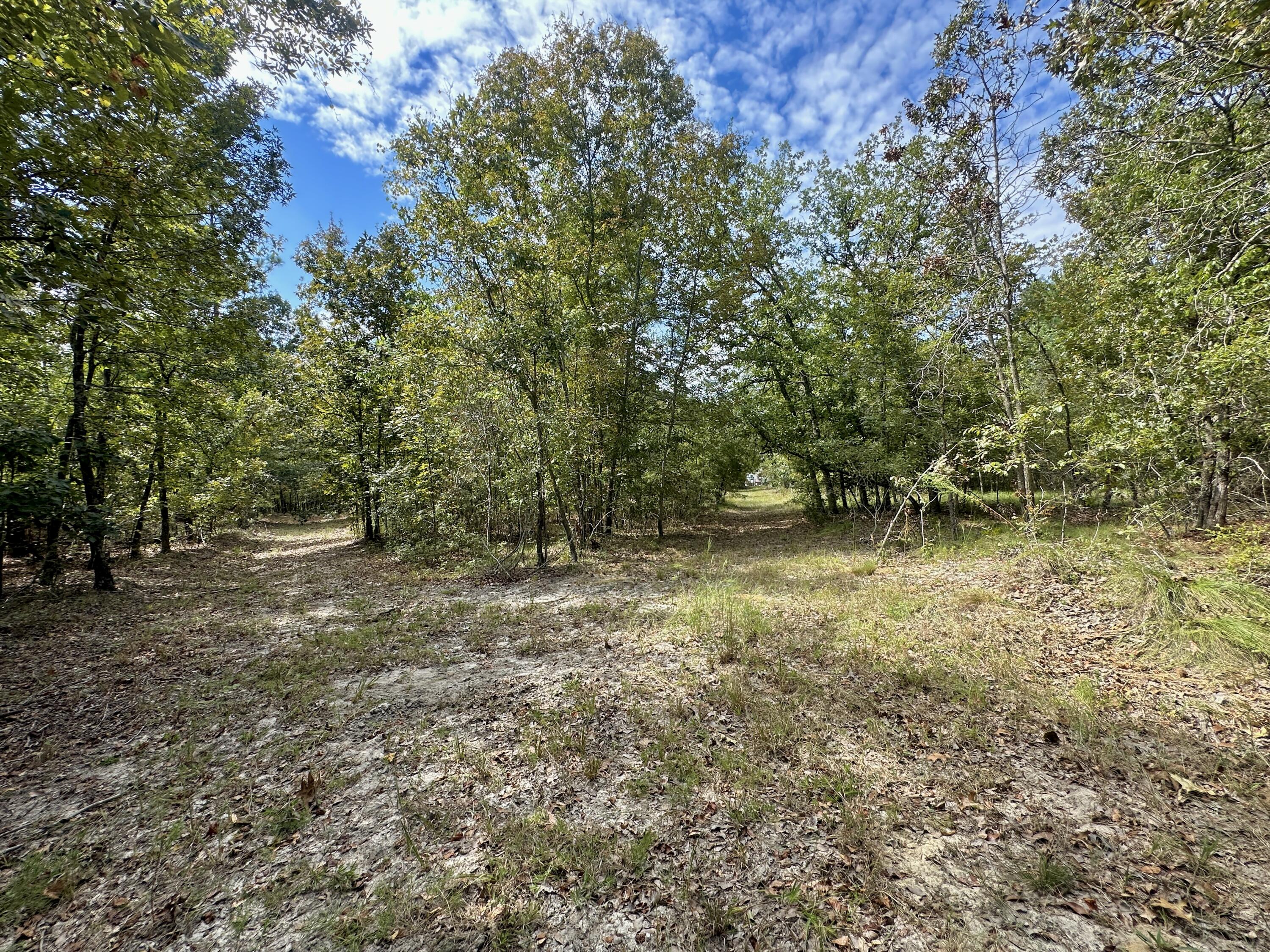 1124 Brigham Landing Road Girard, GA 30426 - Photo 50 of 52 IMG_E5975