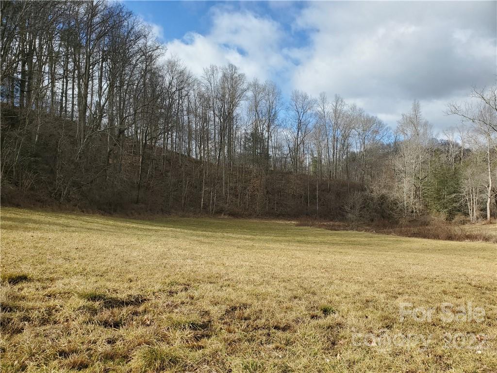 54 Snelson Road Marshall, NC 28753 - Photo 11 of 45 Gallery Image 11