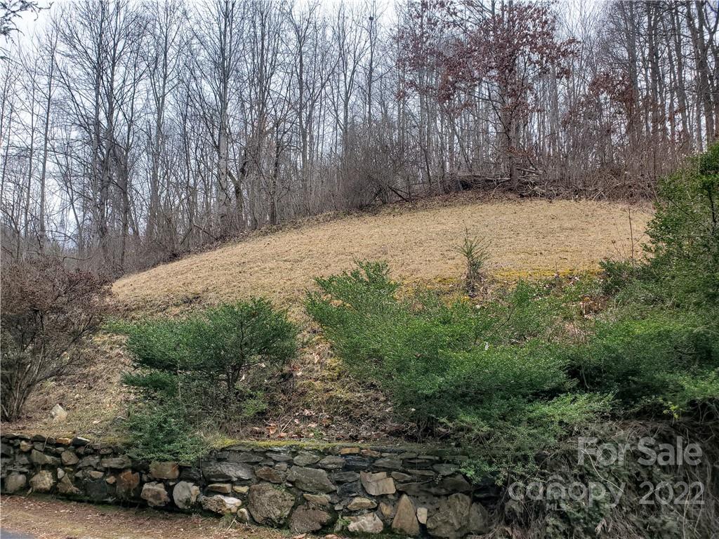 54 Snelson Road Marshall, NC 28753 - Photo 20 of 45 Gallery Image 20