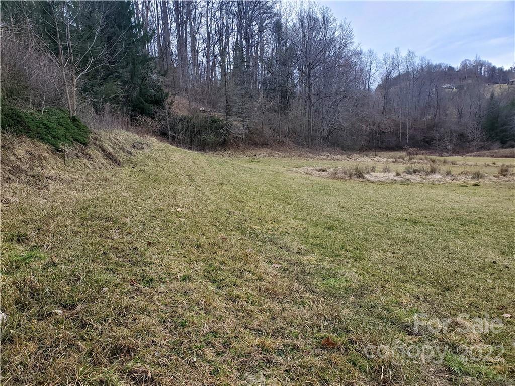 54 Snelson Road Marshall, NC 28753 - Photo 23 of 45 Gallery Image 23