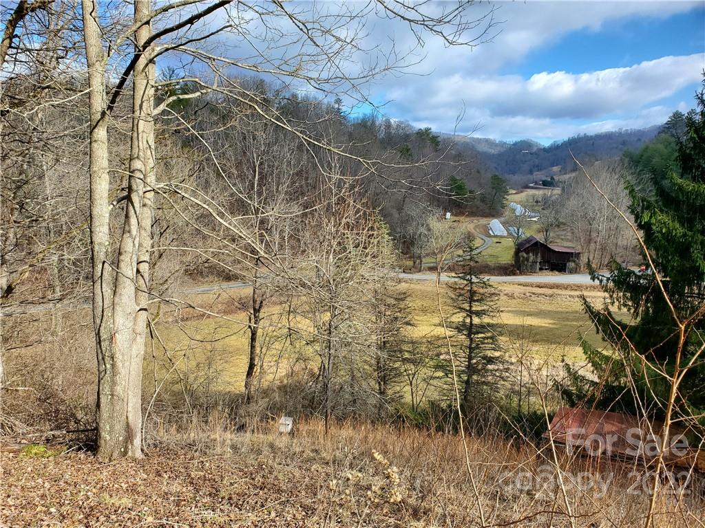 54 Snelson Road Marshall, NC 28753 - Photo 36 of 45 Gallery Image 36
