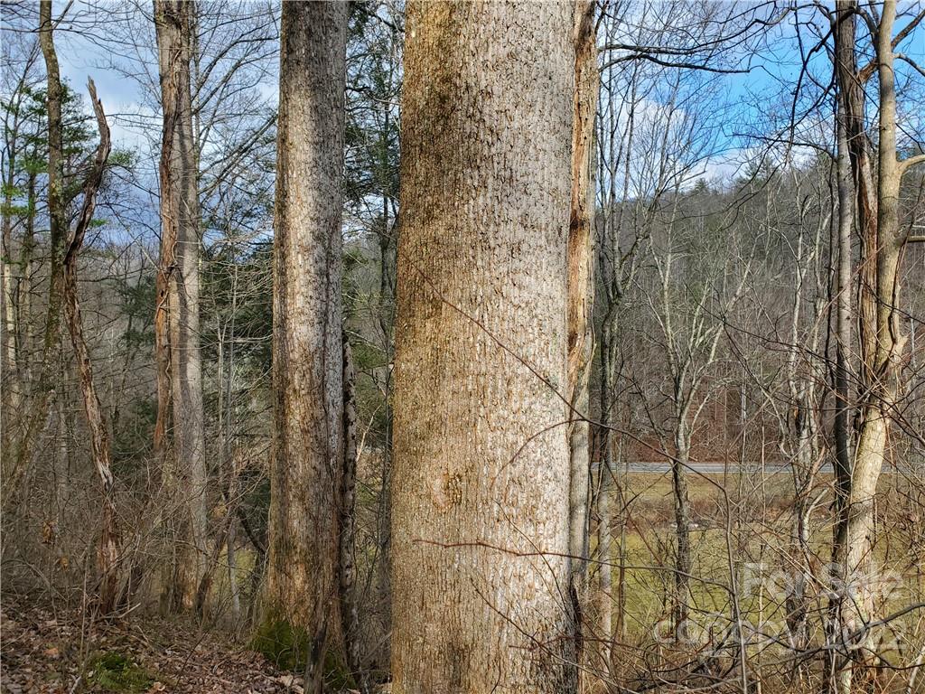 54 Snelson Road Marshall, NC 28753 - Photo 38 of 45 Gallery Image 38