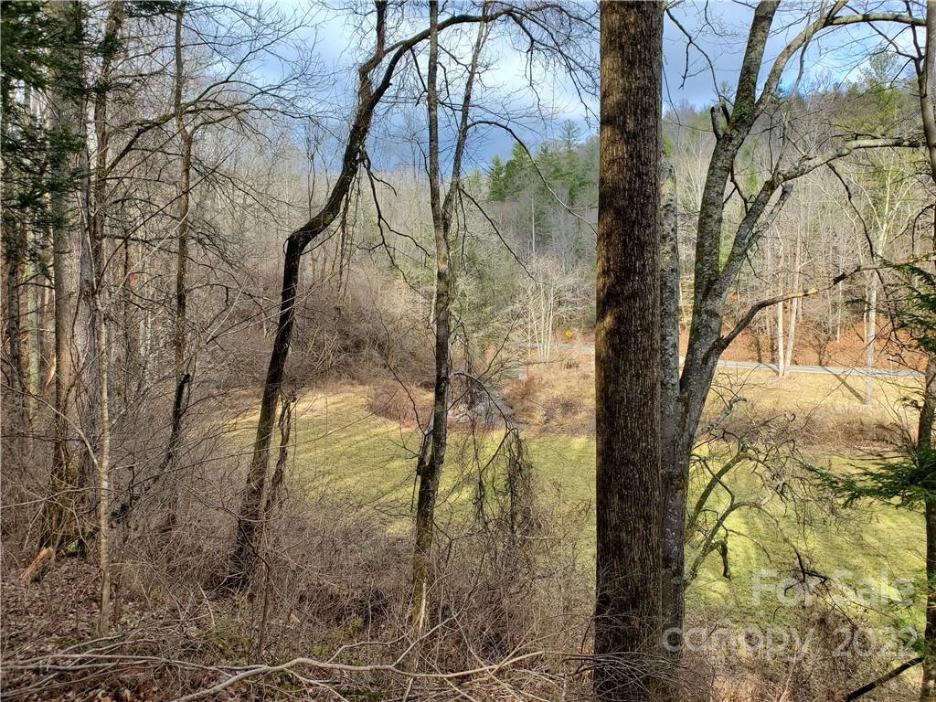 54 Snelson Road Marshall, NC 28753 - Photo 39 of 45 Gallery Image 39