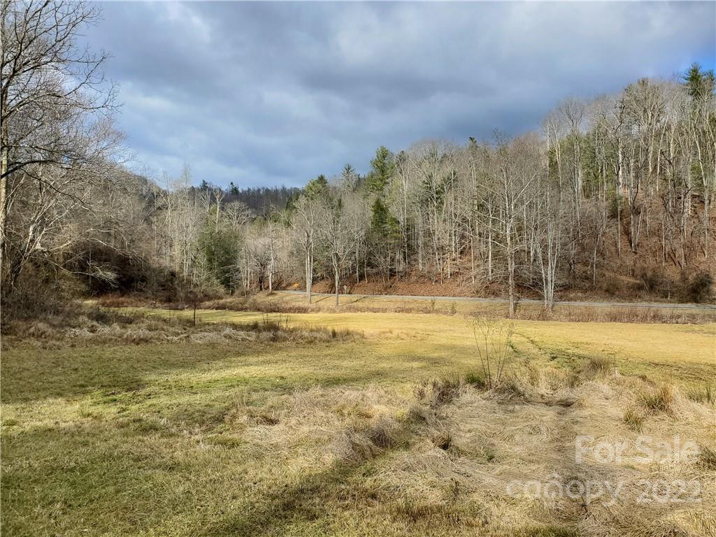 54 Snelson Road Marshall, NC 28753 - Photo 44 of 45 Gallery Image 44