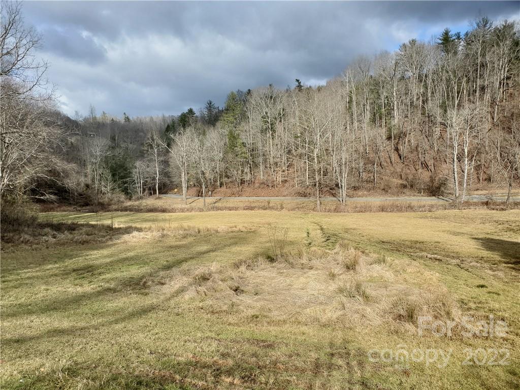 54 Snelson Road Marshall, NC 28753 - Photo 8 of 45 Gallery Image 8